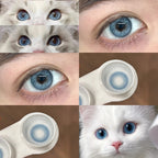 Mesiru MS09 Jesus Blue