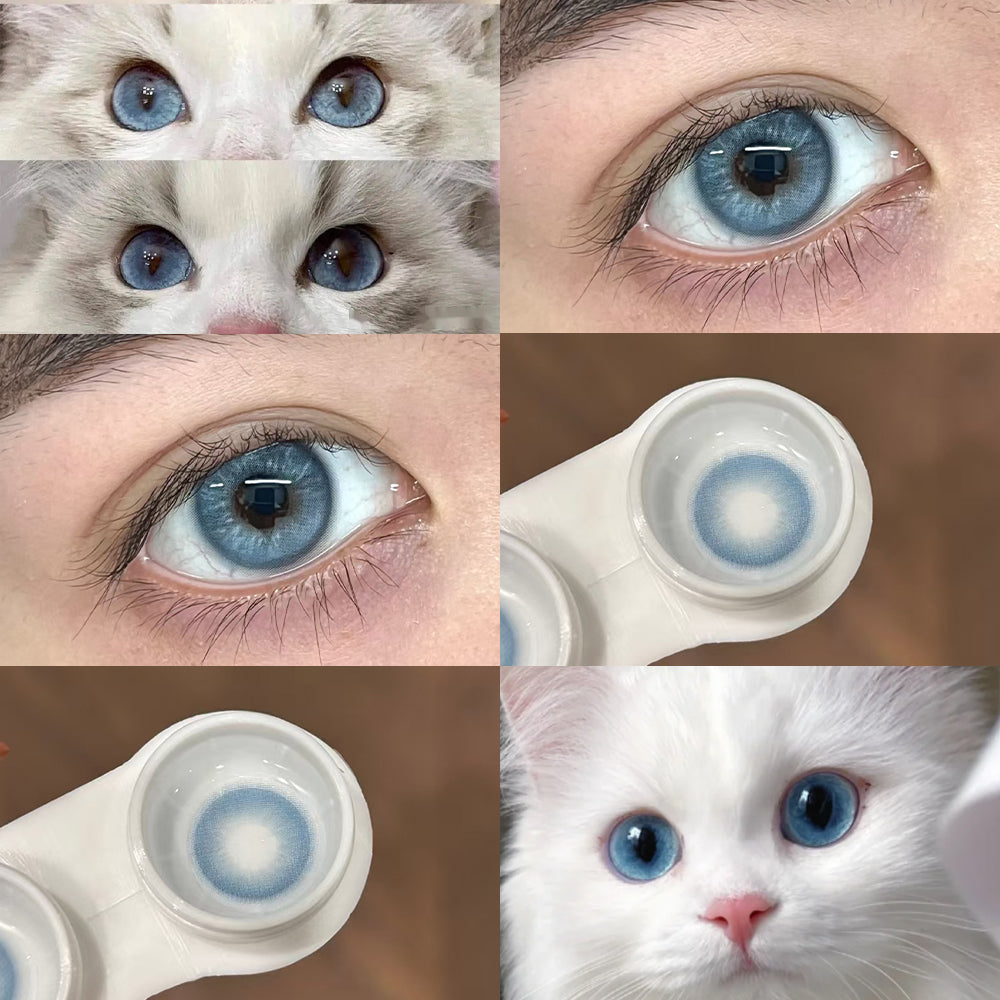 Mesiru MS09 Jesus Blue