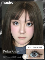 Mesiru W22 Polar Gray