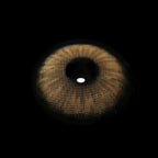 Mesiru D15  Diamond Sugar Brown