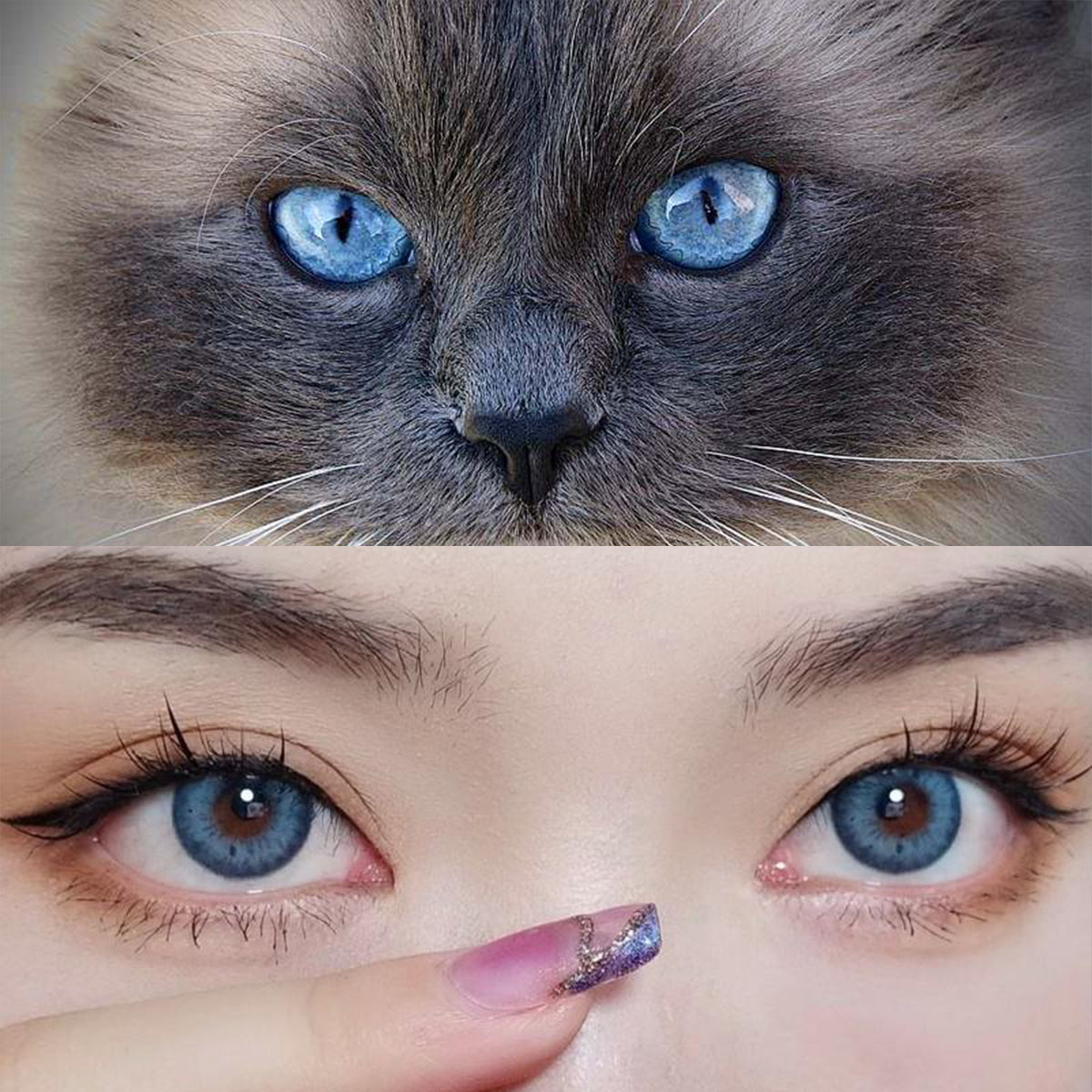 Mesiru E3 Romona Blue