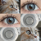 Mesiru E4 Chole Gray
