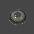 Mesiru  E7 Coffee Gray