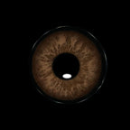 Mesiru K1 Coconut Brown