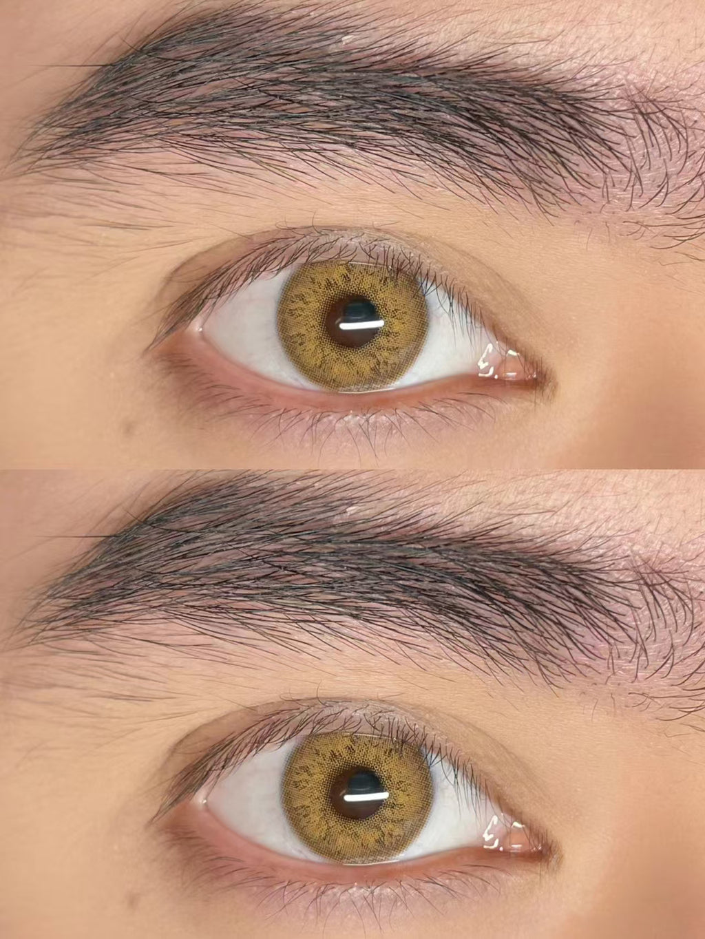 Mesiru K6 Gorgeous Brown