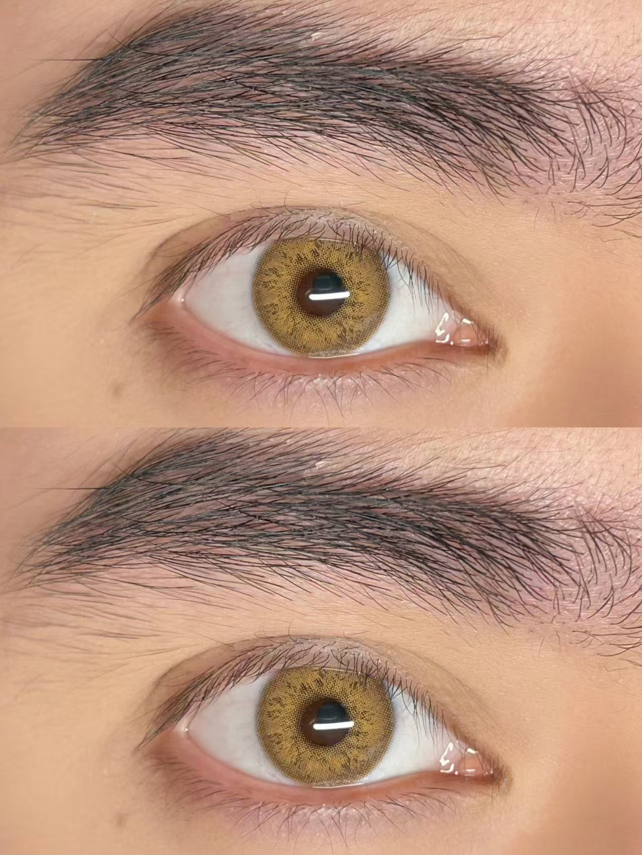Mesiru K6 Gorgeous Brown