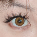 Mesiru K6 Gorgeous Brown