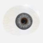 Mesiru R10 Opera Gray