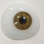 Mesiru W21  Ice Brown