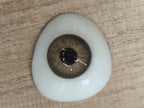 Mesiru ZM57 Greece Myth Brown