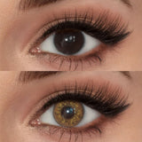 Mesiru Gorgeous Brown Contact Lenses