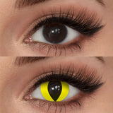 Mesiru Yellow Cat Contact Lenses